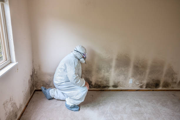 Best Industrial Mold Remediation  in Oswego, KS